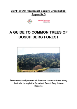 A Guide to Common Trees of Bosch Berg Forest