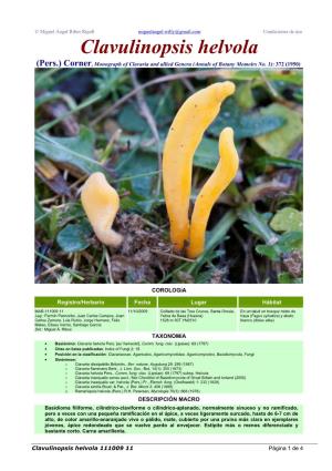 Clavulinopsis Helvola (Pers.) Corner, Monograph of Clavaria and Allied Genera (Annals of Botany Memoirs No