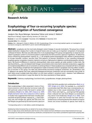 Ecophysiology of Four Co-Occurring Lycophyte Species: an Investigation of Functional Convergence