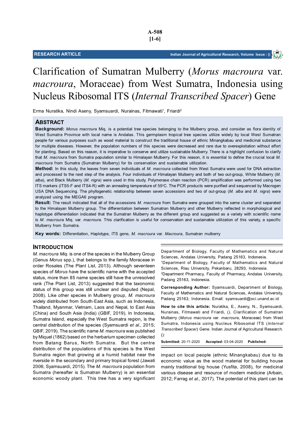 Clarification of Sumatran Mulberry (Morus Macroura Var. Macroura