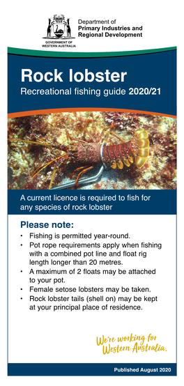 Recreational Fishing for Rock Lobster