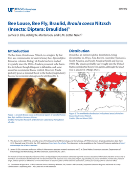 Bee Louse, Bee Fly, Braulid, Braula Coeca Nitzsch (Insecta: Diptera: Braulidae)1 James D