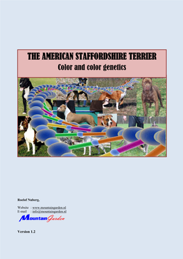 The Amercian Staffordshire Terrier