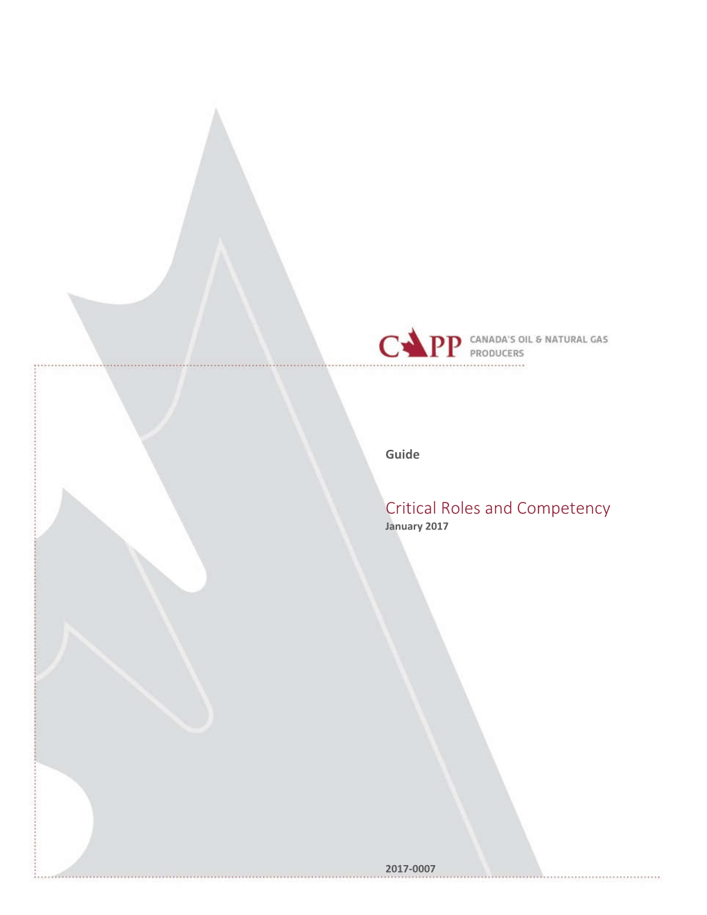 CAPP – Critical Roles and Competency