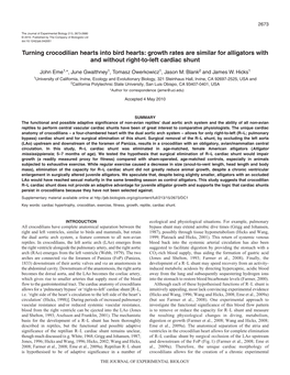 Turning Crocodilian Hearts Into Bird Hearts: Growth Rates Are Similar for Alligators with and Without Right-To-Left Cardiac Shunt