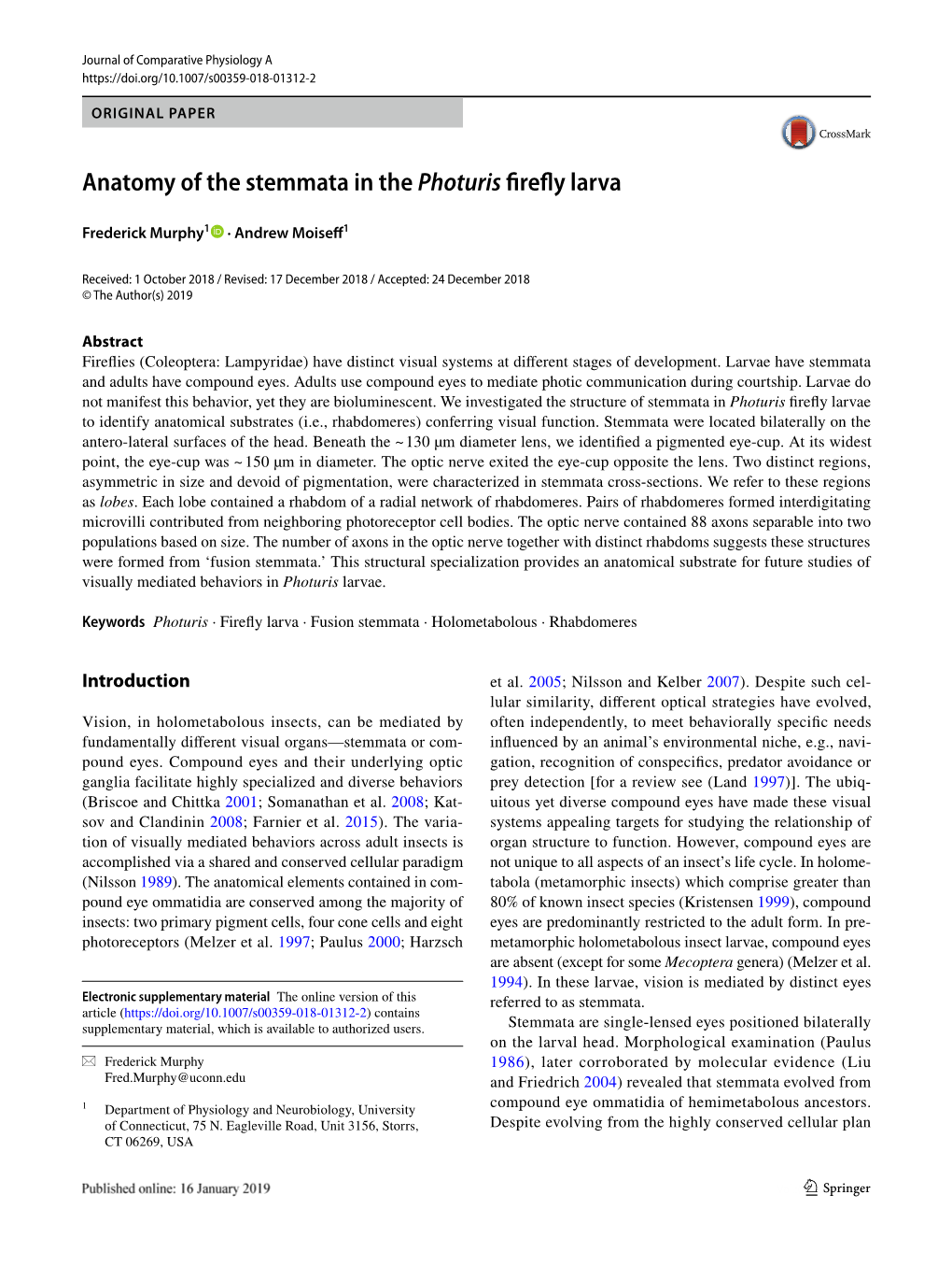 Anatomy of the Stemmata in the Photuris Firefly Larva