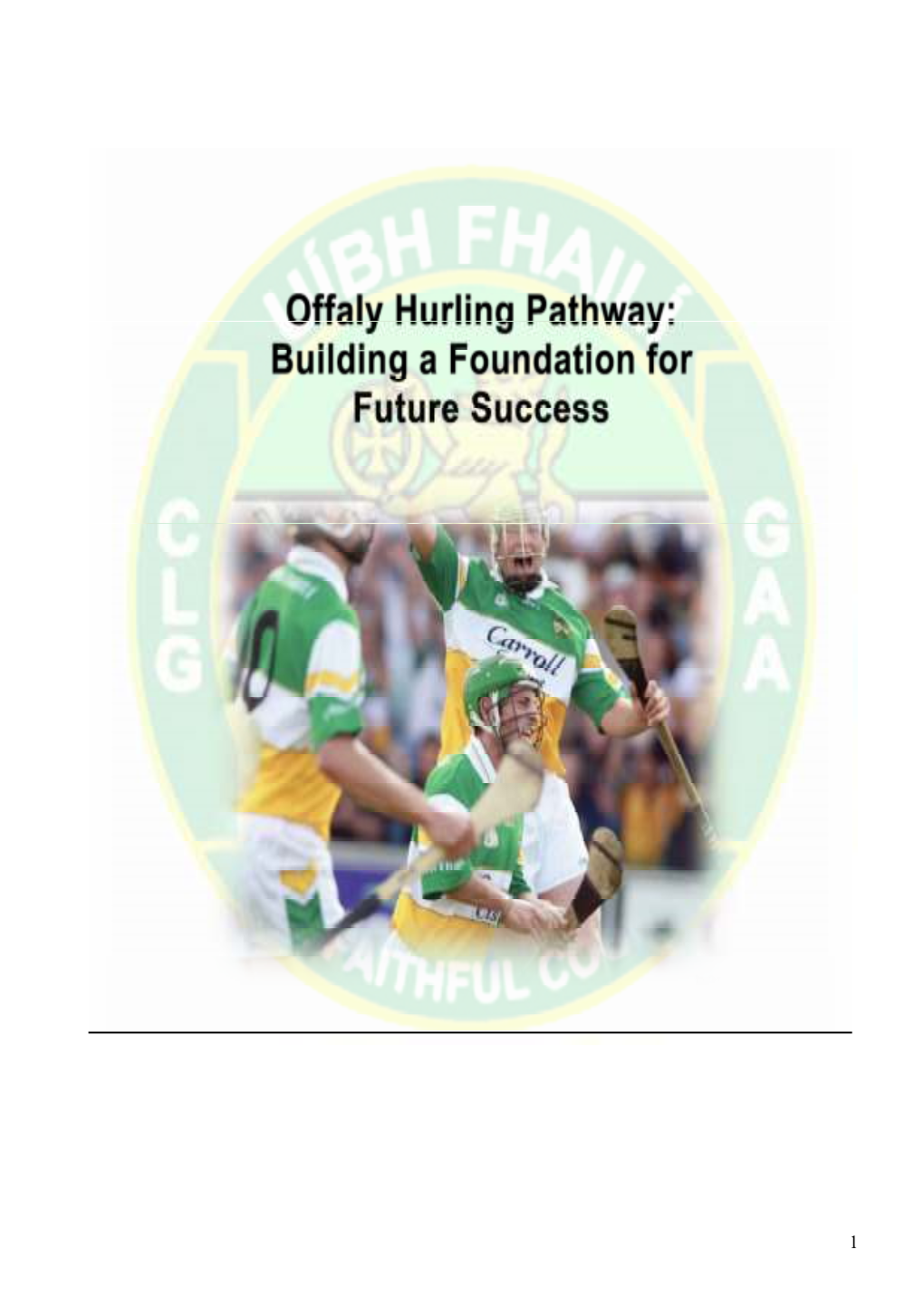 Offaly Hurling Pathway Structure Page 26