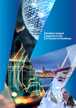 Northern Ireland Response to the AI Council AI Roadmap Contributing Organisations