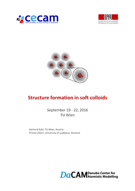 Structure Formation in Soft Colloids
