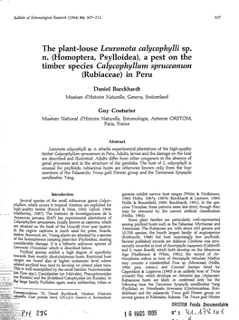 (Homoptera, Psylloidea), a Pest on the Timber Species Calycophyllum
