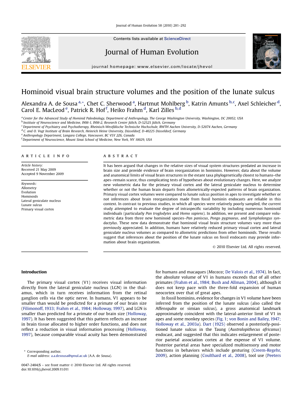 Hominoid Visual Brain Structure Volumes and the Position of the Lunate Sulcus