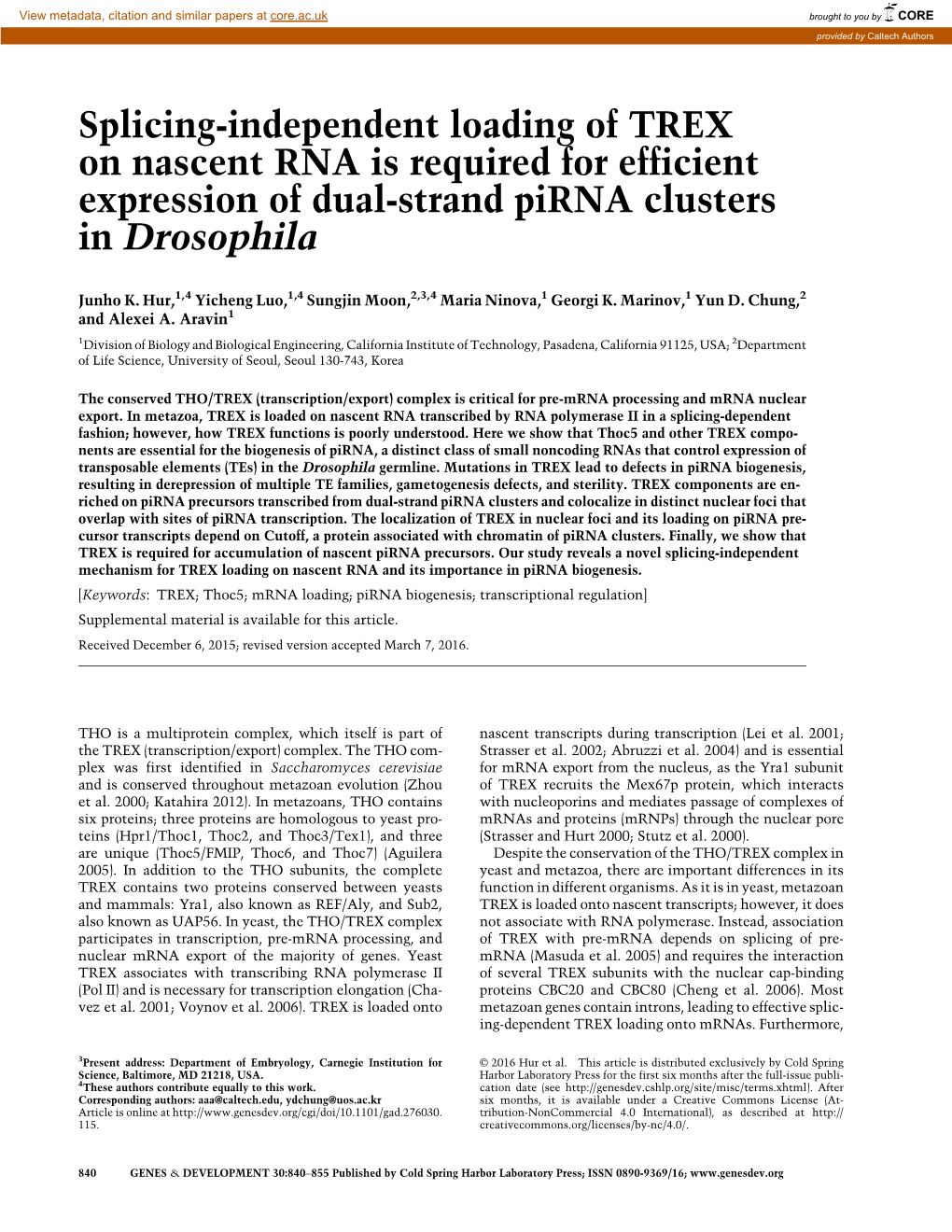 Splicing-Independent Loading of TREX on Nascent RNA Is Required for Efficient Expression of Dual-Strand Pirna Clusters in Drosophila