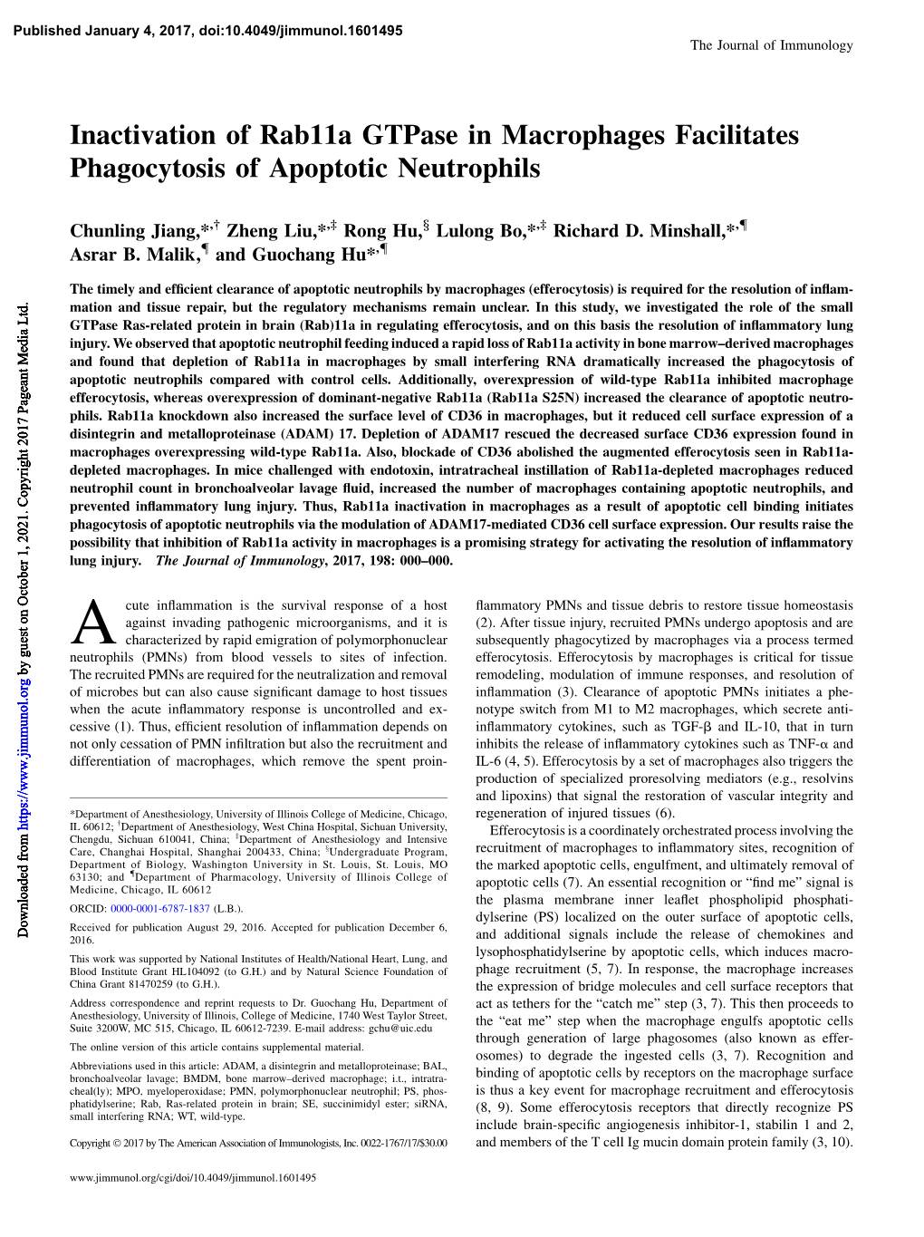 Inactivation of Rab11a Gtpase in Macrophages Facilitates Phagocytosis of Apoptotic Neutrophils