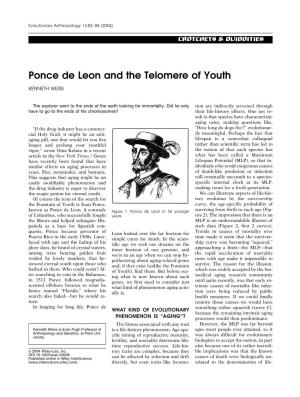 Ponce De Leon and the Telomere of Youth