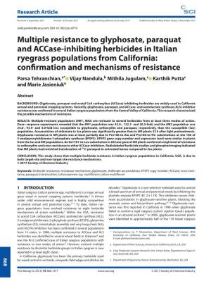 Multiple Resistance to Glyphosate, Paraquat and Accase