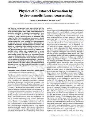 Physics of Blastocoel Formation by Hydro-Osmotic Lumen Coarsening