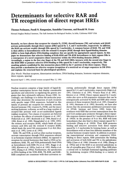 Determinants for Selective RAR and TR Recognition of Direct Repeat Hres