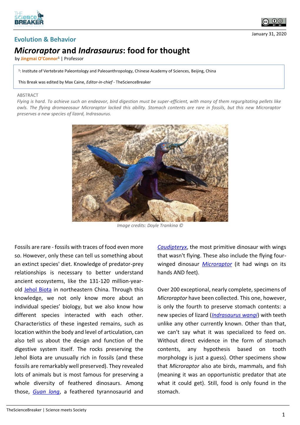 Microraptor and Indrasaurus: Food for Thought by Jingmai O’Connor1 | Professor