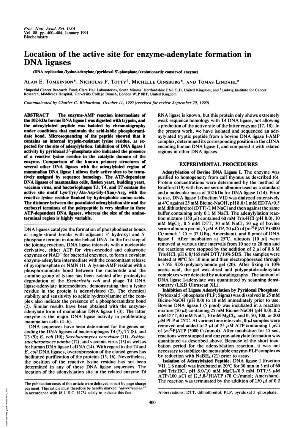 DNA Ligases (DNA Replication/Lysine-Adenylate/Pyridoxal 5'-Phosphate/Evolutionarily Conserved Enzyme) ALAN E