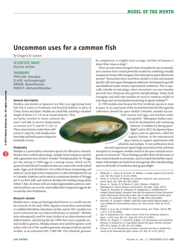 Uncommon Uses for a Common Fish by Gregory D