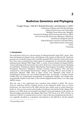 Nudivirus Genomics and Phylogeny