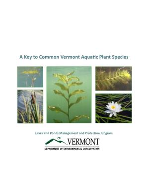 A Key to Common Vermont Aquatic Plant Species