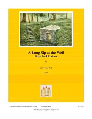 A Long Sip at the Well Brigit Book Reviews