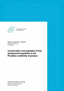 Conservation and Regulation of Key Photoperiod Regulators in the Pooideae Subfamily of Grasses