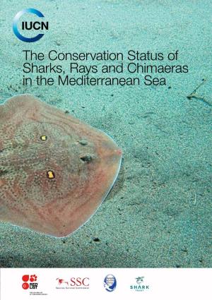 The Conservation Status of Sharks, Rays and Chimaeras in the Mediterranean Sea [Brochure]