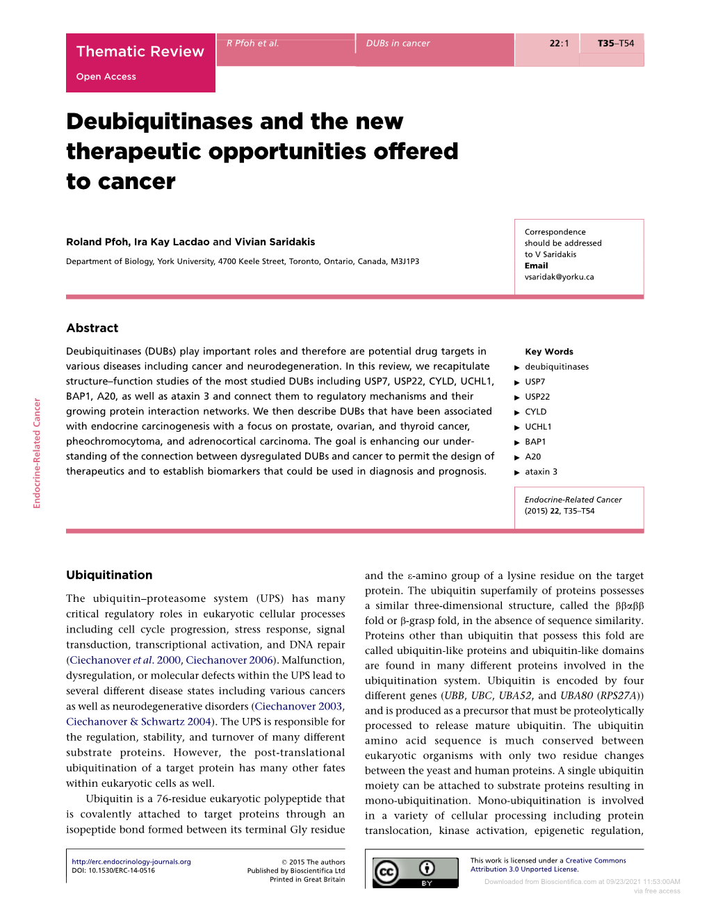 Deubiquitinases and the New Therapeutic Opportunities Offered to Cancer