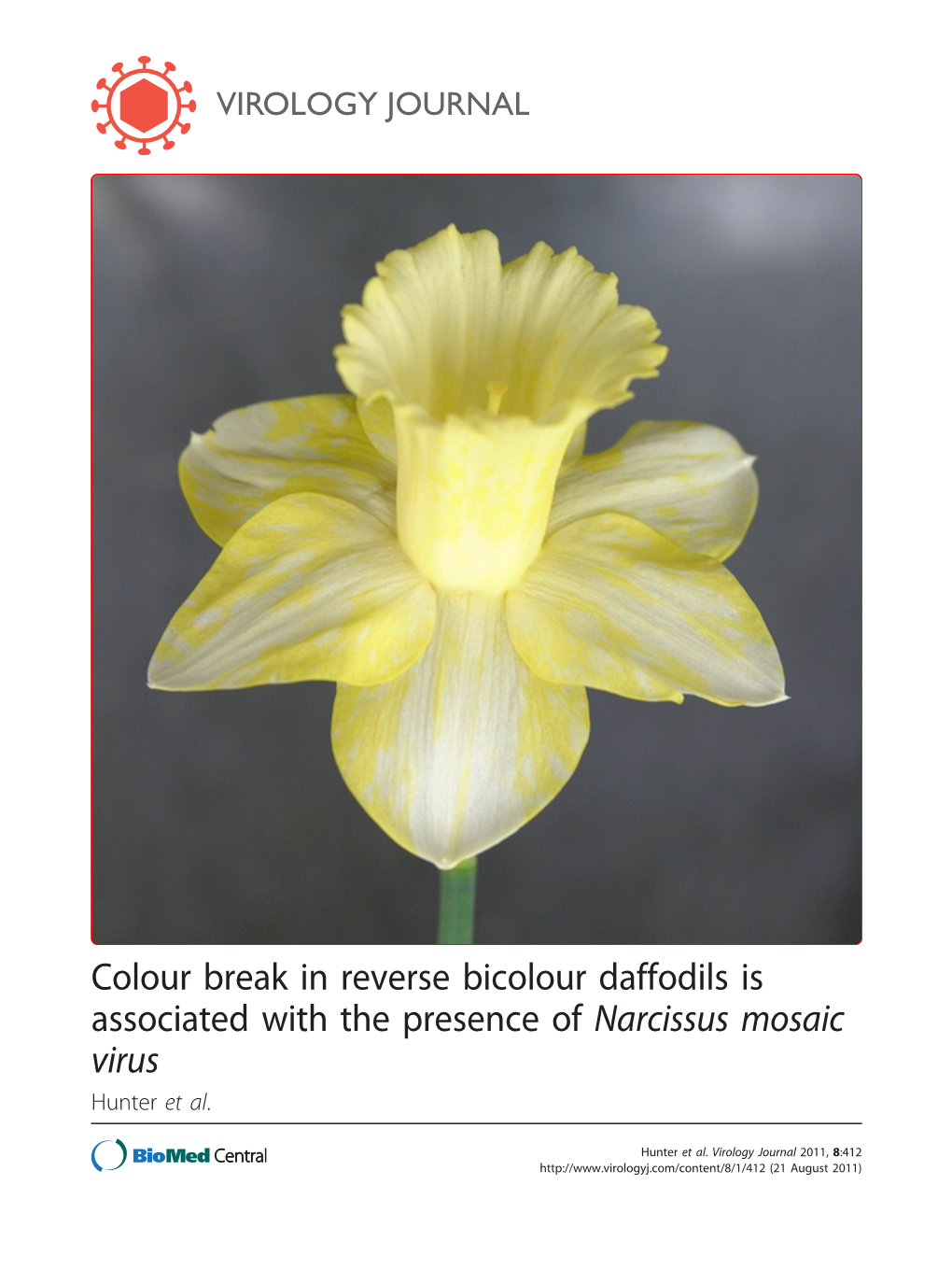 Colour Break in Reverse Bicolour Daffodils Is Associated with the Presence of Narcissus Mosaic Virus Hunter Et Al