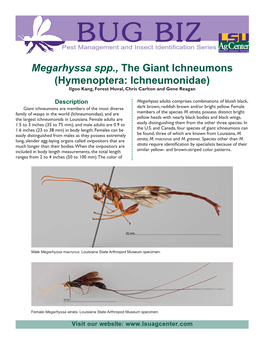 Megarhyssa Spp., the Giant Ichneumons (Hymenoptera: Ichneumonidae) Ilgoo Kang, Forest Huval, Chris Carlton and Gene Reagan