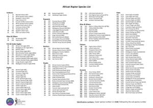 African Raptor Species List