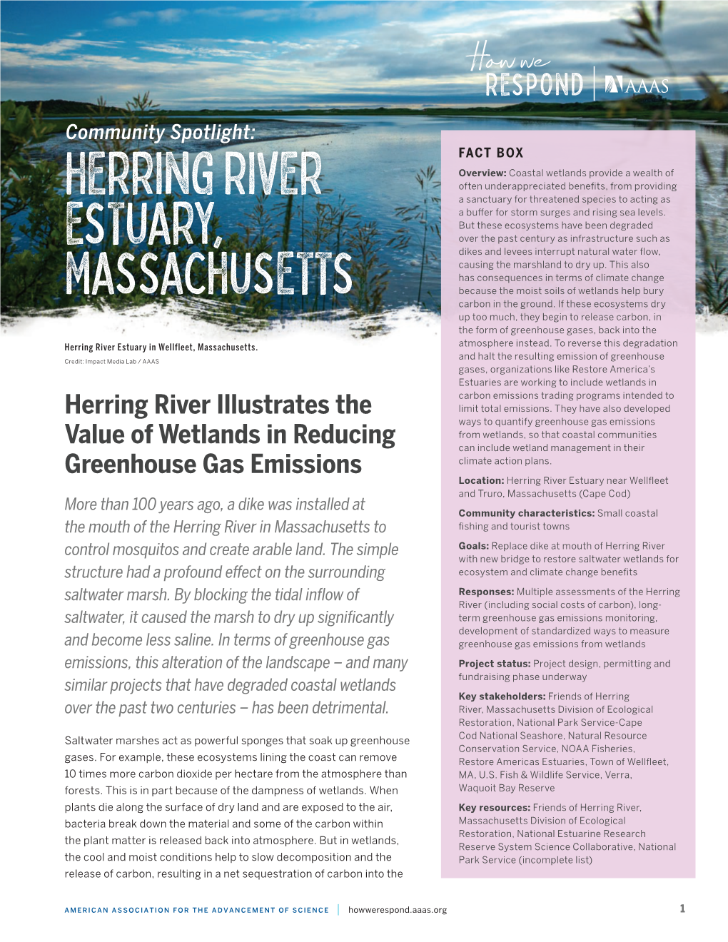 Herring River Estuary, Massachusetts