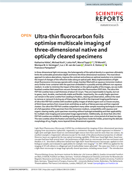 Ultra-Thin Fluorocarbon Foils Optimise Multiscale Imaging of Three