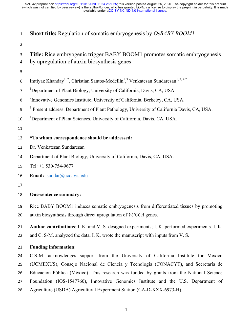 Rice Embryogenic Trigger BABY BOOM1 Promotes Somatic Embryogenesis 4 By ...