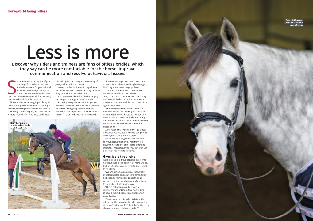 Discover Why Riders and Trainers Are Fans of Bitless Bridles, Which They