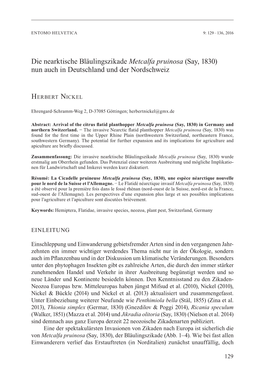 Die Nearktische Bläulingszikade Metcalfa Pruinosa (Say, 1830) Nun Auch in Deutschland Und Der Nordschweiz