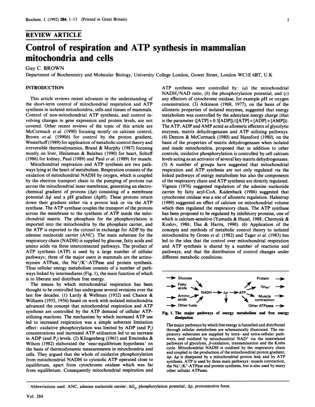 Control of Respiration and ATP Synthesis in Mammalian Mitochondria and Cells Guy C