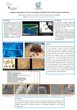 Coralline Composition of Tuscan Archipelago Rhodolits Beds: Marine Strategy Monitoring