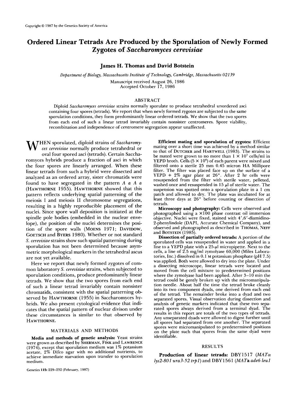 Ordered Linear Tetrads Are Produced by the Sporulation of Newly Formed Zygotes of Saccharomyces Cerevisiae