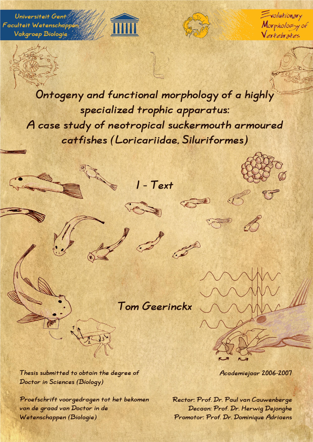 6.1. Ancistrus Cf. Triradiatus