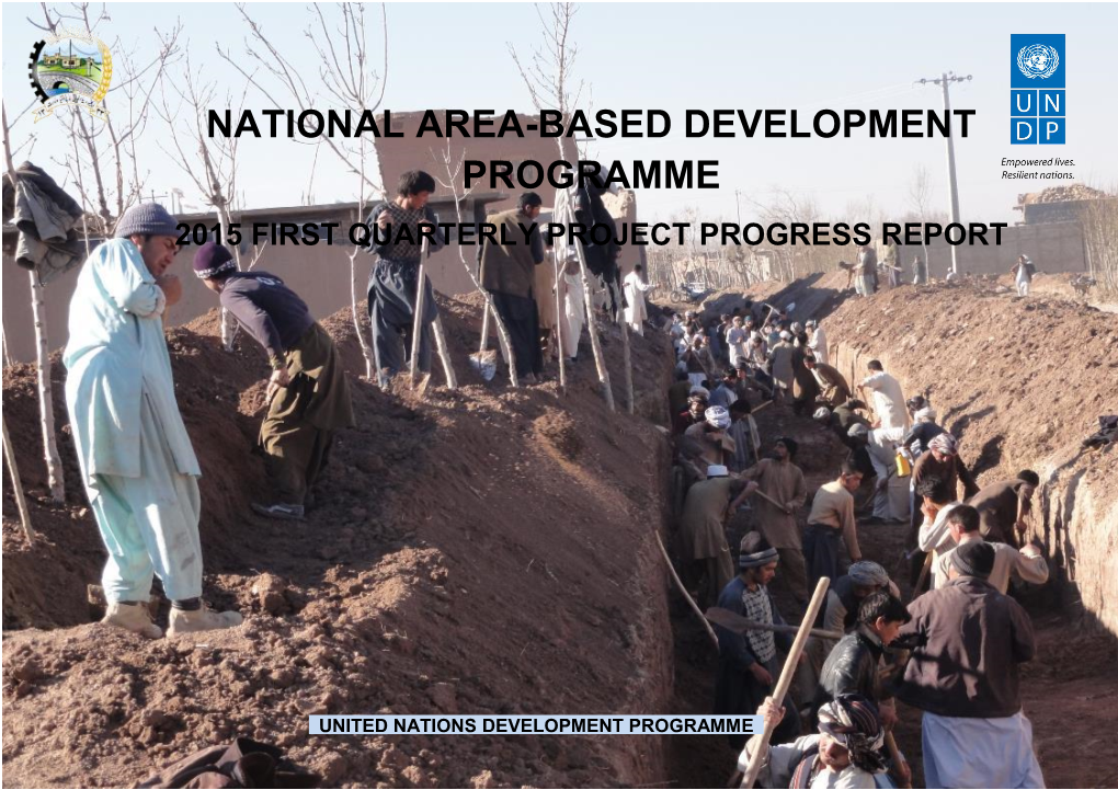 National Area-Based Development Programme Decreased the Scope of Activities Related to Institutional Development at the District Level