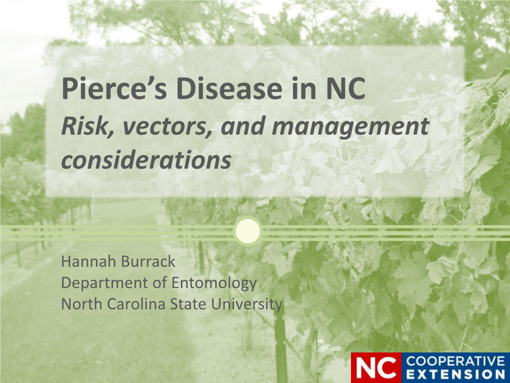 Pierce's Disease in NC