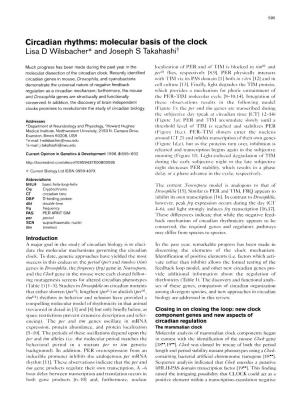 Circadian Rhythms: Molecular Basis of the Clock Lisa D Wiisbacher* and Joseph S Takahashit