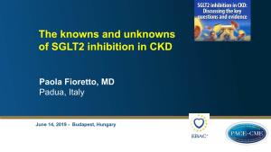 SGLT2 Inhibition and Potential Renal Protection