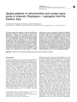 Spatial Patterns of Mitochondrial and Nuclear Gene Pools in Chamois (Rupicapra R