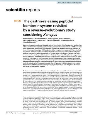 The Gastrin-Releasing Peptide/Bombesin System Revisited