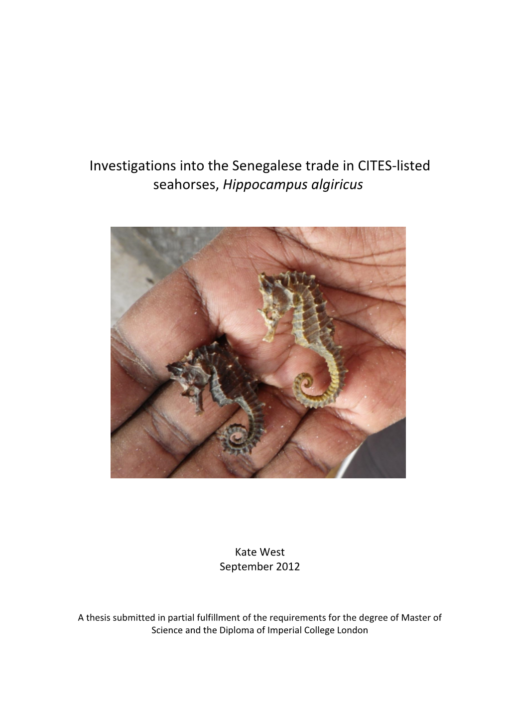 Investigations Into the Senegalese Trade in CITES-Listed Seahorses, Hippocampus Algiricus