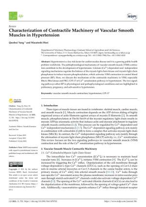Characterization of Contractile Machinery of Vascular Smooth Muscles in Hypertension